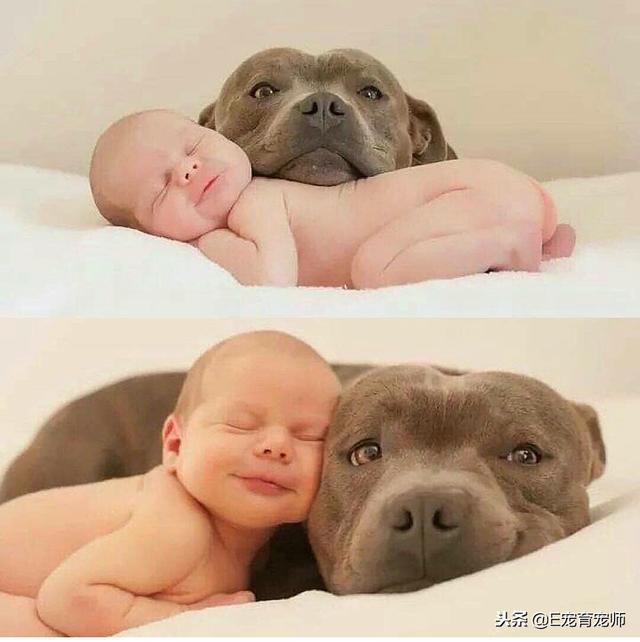 用我一生換你十年天真無邪