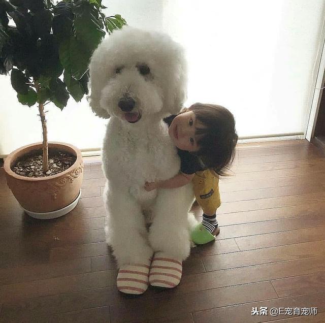 用我一生換你十年天真無邪
