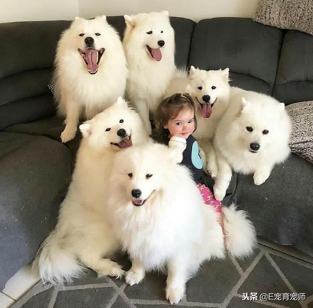 用我一生換你十年天真無邪
