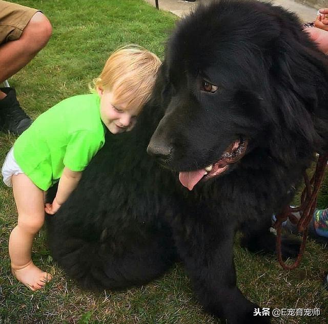 用我一生換你十年天真無邪