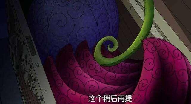 海賊王：5人看過圖鑑，黑鬍子看中暗暗果實，五老星看中神秘果實