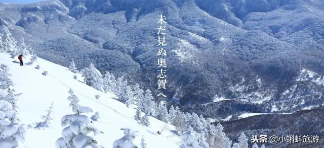 日本自由行最新遊玩攻略-日本小眾旅行目的地及玩法推薦！