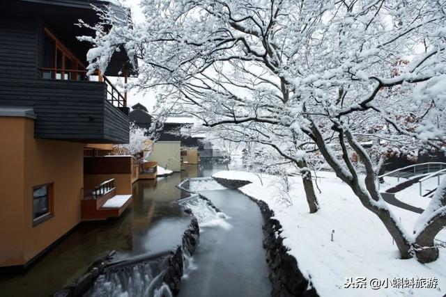 日本自由行最新遊玩攻略-日本小眾旅行目的地及玩法推薦！