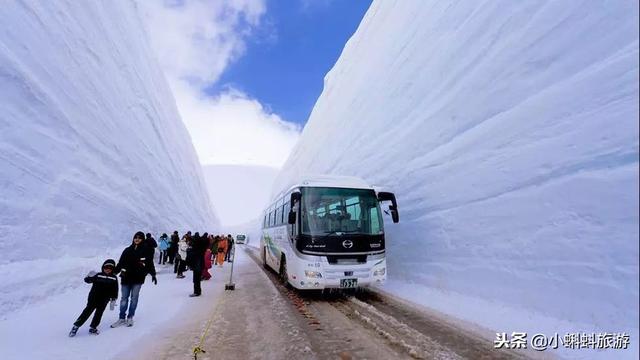 日本自由行最新遊玩攻略-日本小眾旅行目的地及玩法推薦！