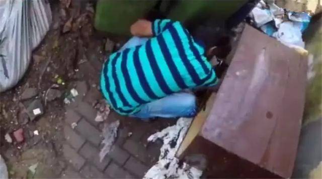 流浪狗母親跟隨路人，乞求發善心救助幼犬，眾人合力為它建新家！