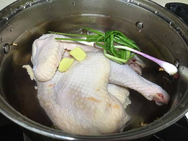 一年四季都受歡迎的雞肉做法，簡單幾步就做好，開胃下飯，解饞還不上火