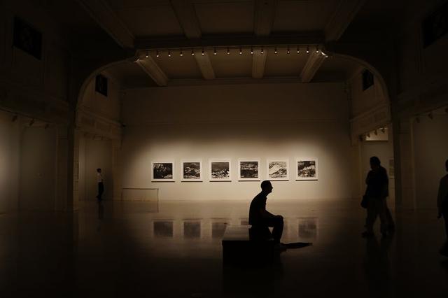 為什麼出國旅遊不要再去海洋館？這就是原因！