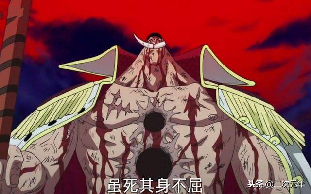 海賊王：尾田設計的夫妻，一對超有夫妻相，一對卻是「捆綁婚姻」