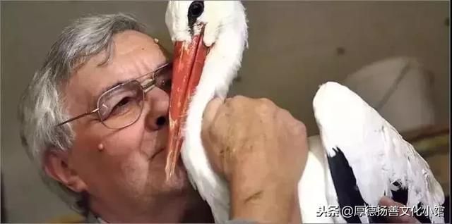 全世界為之心疼哭泣的真實故事