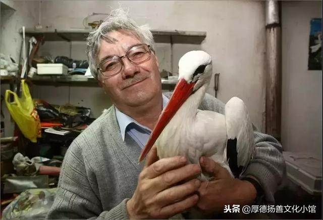 全世界為之心疼哭泣的真實故事