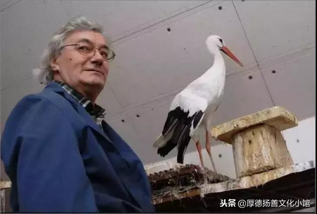 全世界為之心疼哭泣的真實故事