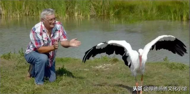 全世界為之心疼哭泣的真實故事