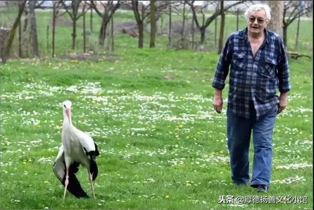 全世界為之心疼哭泣的真實故事