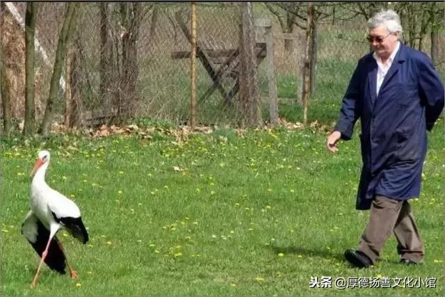 全世界為之心疼哭泣的真實故事