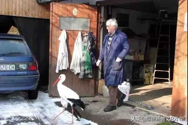 全世界為之心疼哭泣的真實故事