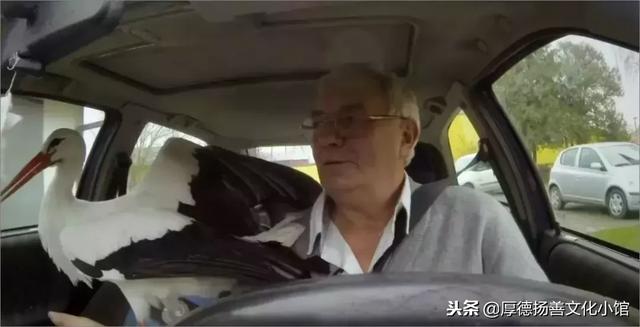 全世界為之心疼哭泣的真實故事