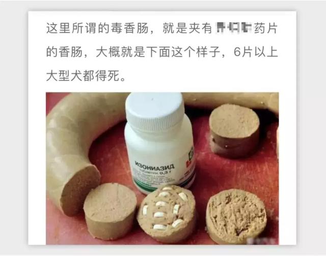 2018年，狗狗都經歷了什麼？