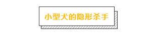 大部分確診心臟病的狗狗，都是因為主人們誤以為它們感冒了