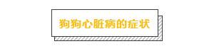 大部分確診心臟病的狗狗，都是因為主人們誤以為它們感冒了