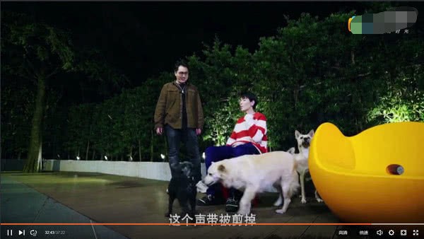 蕭敬騰8層豪宅成流浪狗樂園，遛狗不用出門，請專業獸醫隨時治療