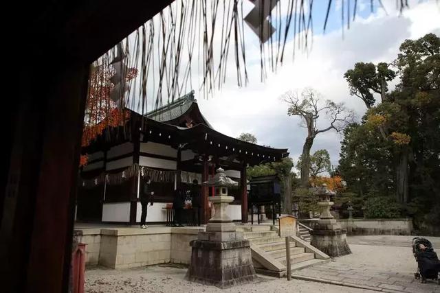 日本旅行，遊客不知道的，才是當地人密而不宣的小確幸