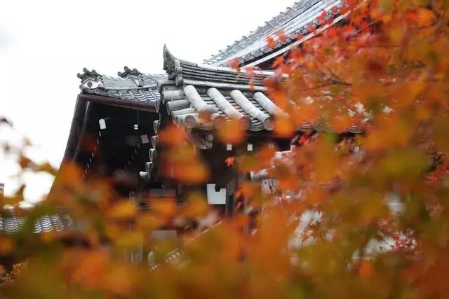 日本旅行，遊客不知道的，才是當地人密而不宣的小確幸