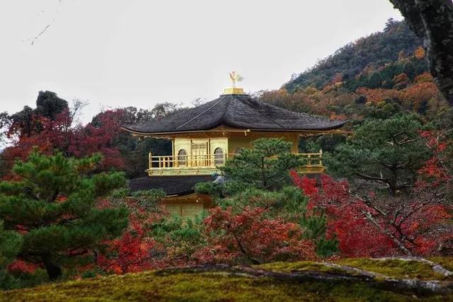 日本旅行，遊客不知道的，才是當地人密而不宣的小確幸