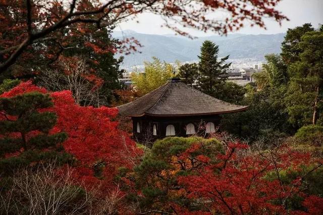 日本旅行，遊客不知道的，才是當地人密而不宣的小確幸