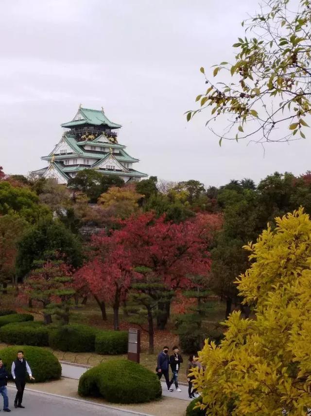 日本旅行，遊客不知道的，才是當地人密而不宣的小確幸