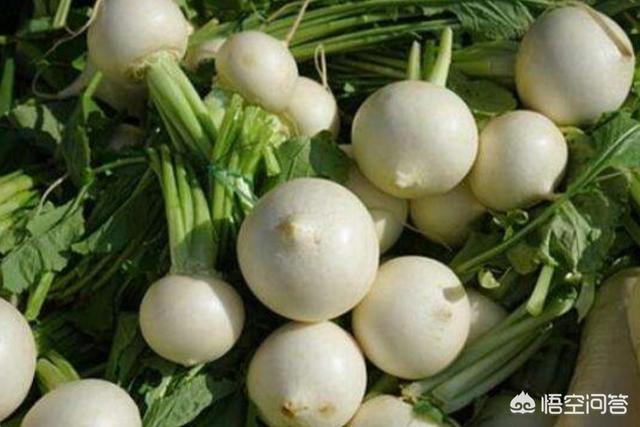 白蘿蔔有什麼功效？真能潤肺嗎？