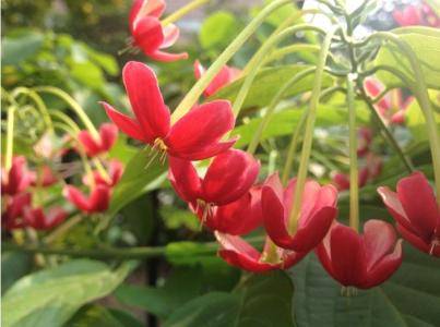 12月26號起，接住好運，財運直上雲霄，月月賺大錢的5大生肖！