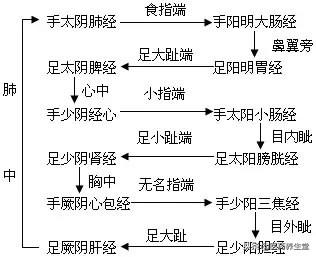 醫學必修：中醫基礎經絡學（要背熟啊）！建議收藏