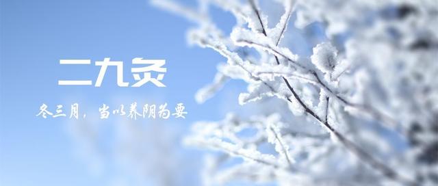 二九灸又到了，冬三月，這段時間，應該以養陰為要，早睡晚起