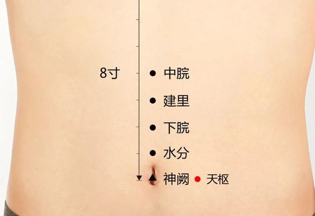 二九灸又到了，冬三月，這段時間，應該以養陰為要，早睡晚起