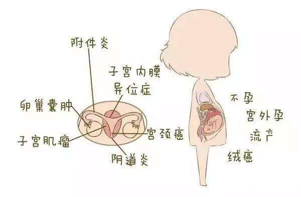 十人九寒，這處越胖，濕氣越嚴重，2個動作1碗湯，告別濕氣！