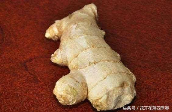 枕頭下放2塊生薑，原來有這麼多好處，看完你就知道了 