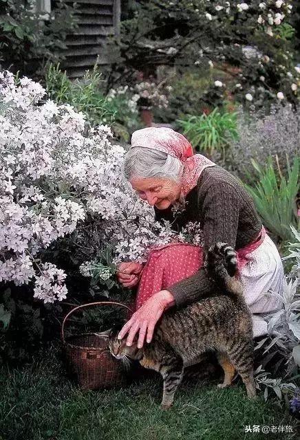 人生後半場，富養子孫不如富養自己！人生大智慧！