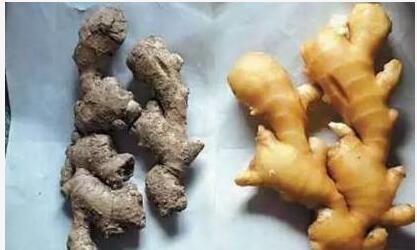 生薑買太多了，放久容易乾癟？別急，教你一招保存生薑，放再久都可以！超實用哦！
