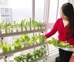 家裡這10種東西別再扔了，第一個我就後悔了，當初真不該扔！