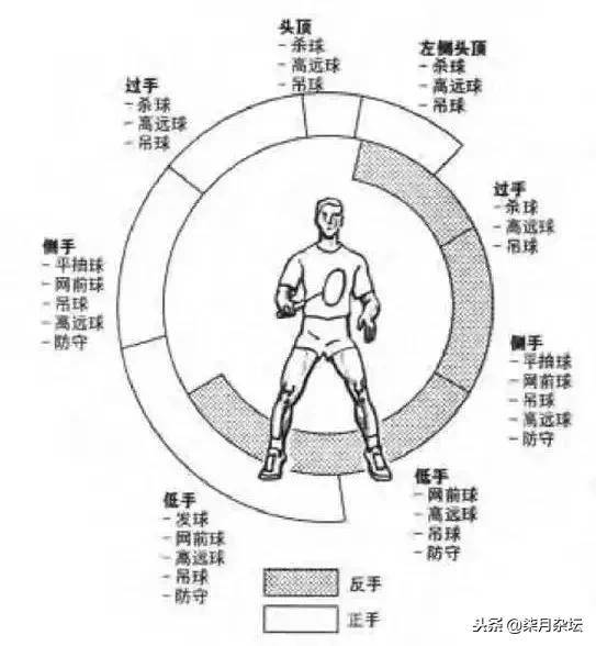 提高羽毛球預判的8個方法，你不可不知