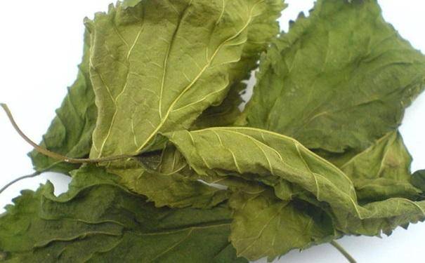 這茶天天喝，輕鬆減掉32，手腳麻木，腳氣、水腫全消除