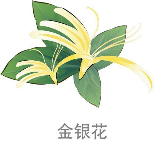 【火】在肺裡=咳嗽，【火】在肝裡=失眠，【火】在胃裡=口臭，教你5招，清肝火更健康！