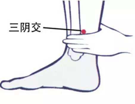 人體自帶的「降膽固醇」穴，常按降血脂，收藏了吧！