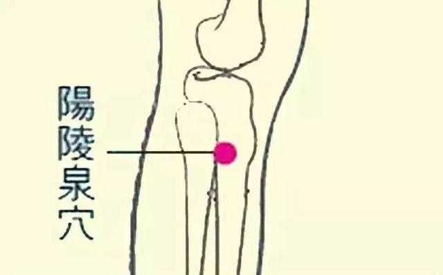中醫急救穴位收藏好了！