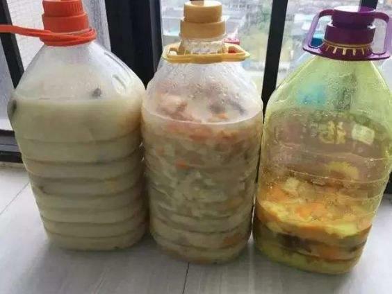 這種「黑果」路邊有很多，其實是「解毒之王」，家中養一盆，讓你少生病少吃藥 