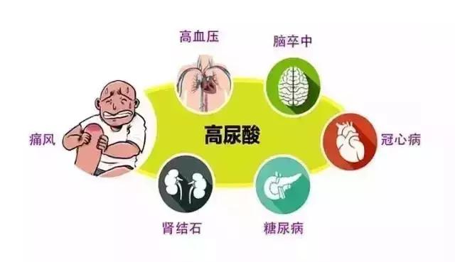 高尿酸和痛風的注意：哪些能吃，哪些不能吃，一張表格都告訴你！