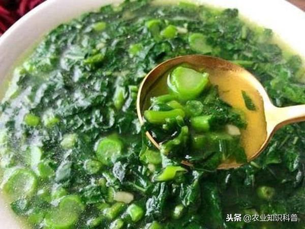 五菜之首的葵菜，口感滑利鮮嫩，治肺熱咳嗽消水腫治便秘