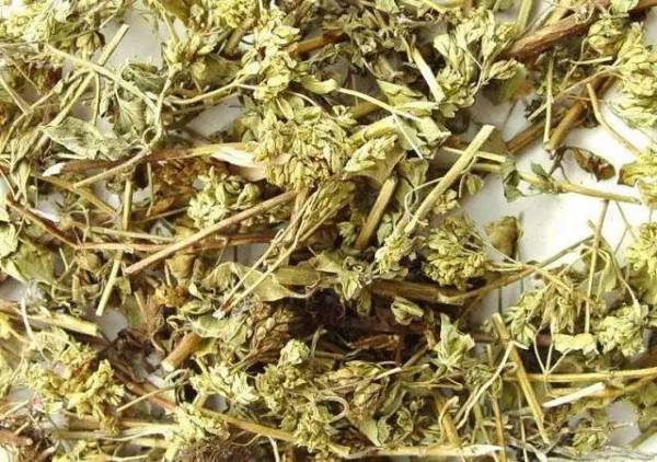 肝不好，人易老 養肝護肝，多喝這6種茶
