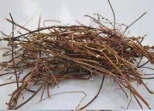 肝不好，人易老 養肝護肝，多喝這6種茶