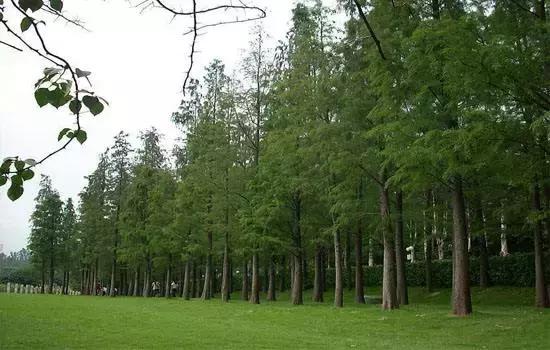 家裡到底是鋪木地板好？還是瓷磚地板好？現在才知道，後悔了...